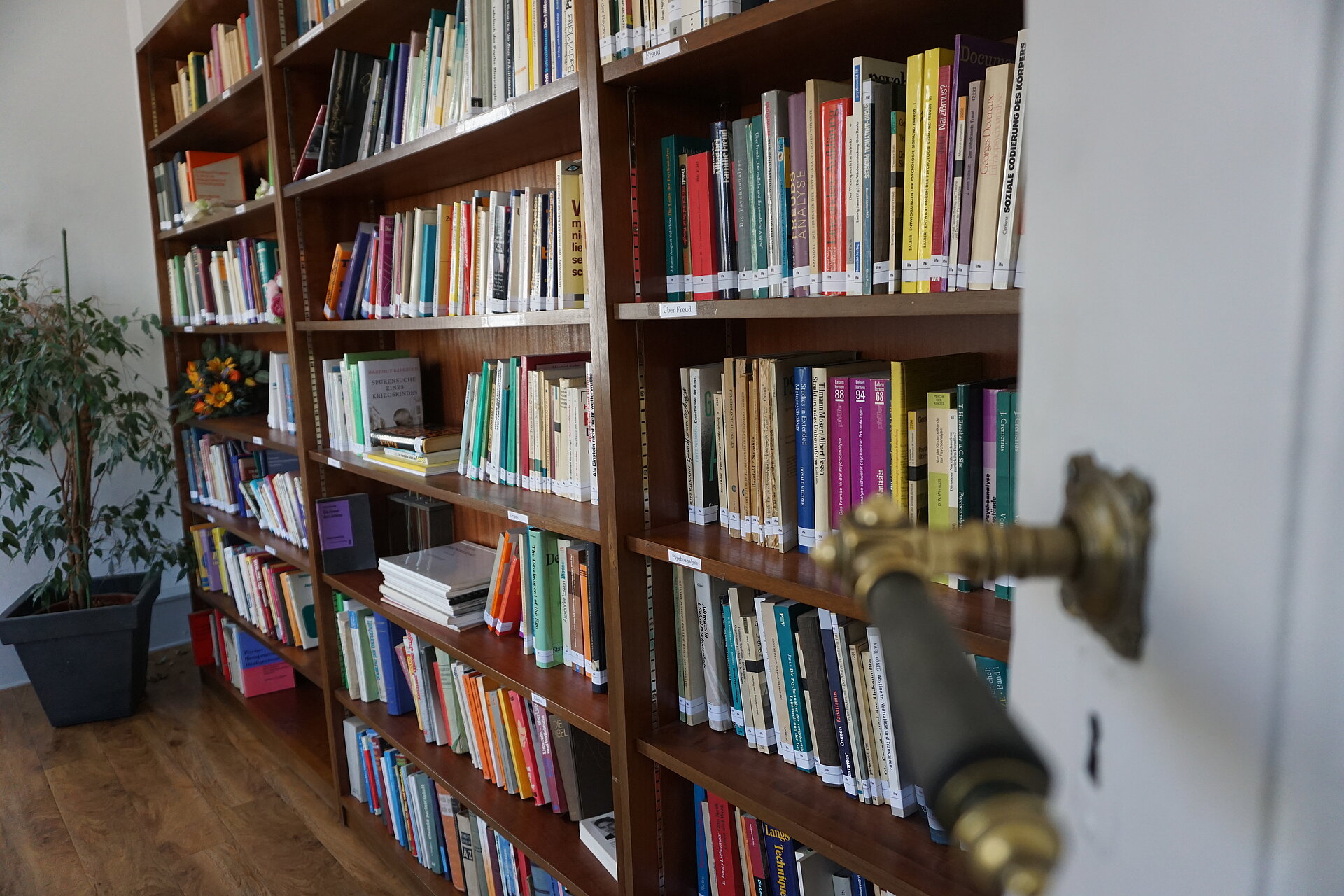 Ein großes Bücherregal mit vielen Büchern
